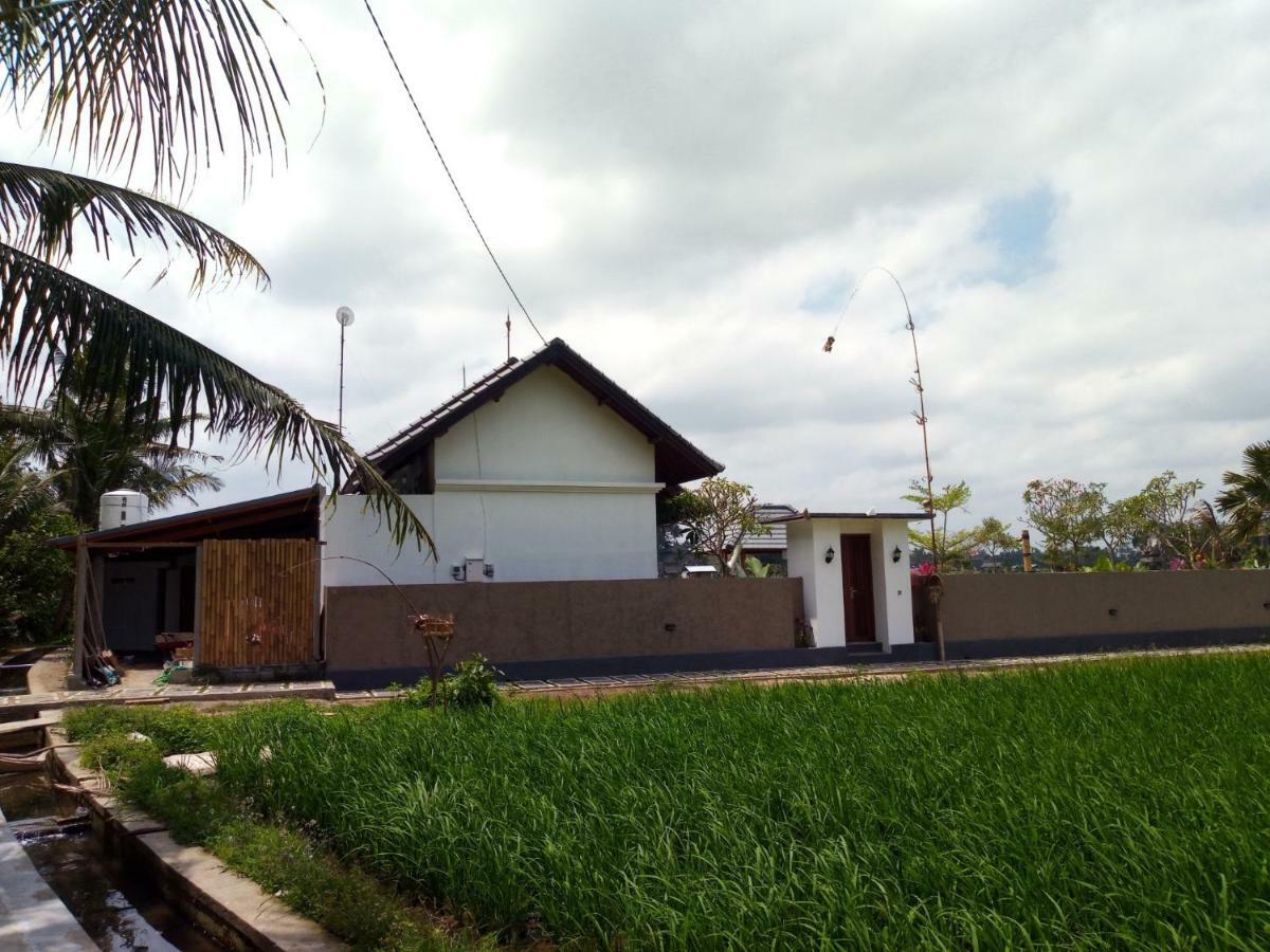 TiTi Villa Bringkit Esterno foto